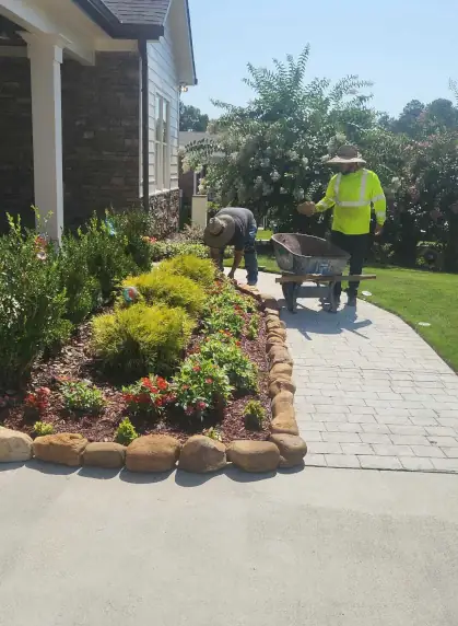 Our Work