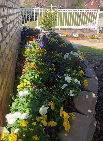 Our Work